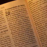Bíblia Sagrada João Ferreira de Almeida | JFA 1819 | Standard | Letra Grande | Capa Luxo Preta