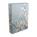 Bíblia de Estudo Filament para Toda Mulher | Caixa Box | NVT | Capa Luxo Azul