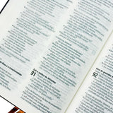 Bíblia Sagrada Slim Livres | NAA | Capa Vinho