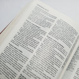 A Bíblia De Estudo Pentecostal Para Juventude | Marrom Luxo