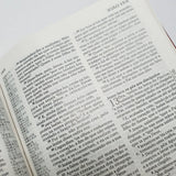 A Bíblia De Estudo Pentecostal Para Juventude | Marrom Luxo