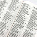 Bíblia Sagrada Slim Leão de Judá | NVI | Letra Normal | Capa Dura