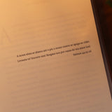 Milagre em Betânia | Heather Kaufman