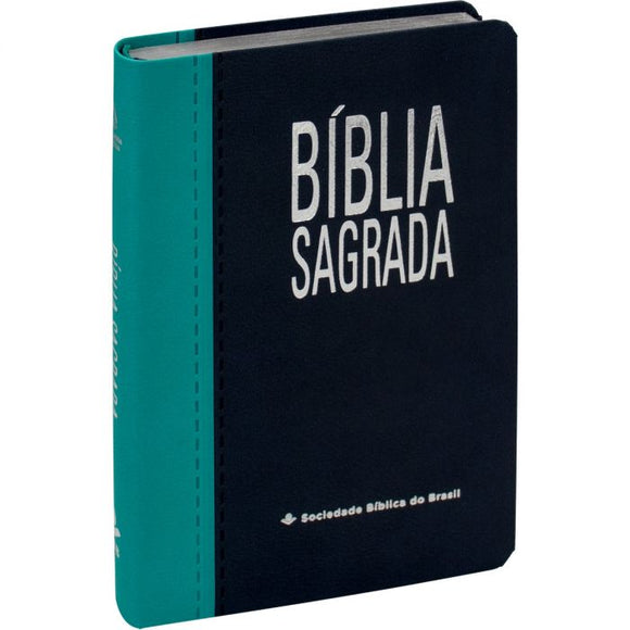 Bíblia Sagrada | NAA | Letra Grande | Capa Turquesa e Azul Escuro