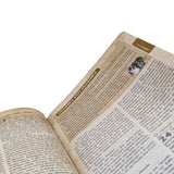 Bíblia das Descobertas para Adolescentes l Rosa