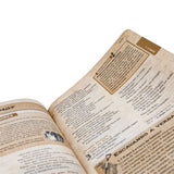 Bíblia das Descobertas para Adolescentes l Rosa