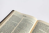 Bíblia Leitura Perfeita NVI | Letra Gigante | Marrom