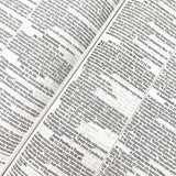 Bíblia Sagrada Slim Leão Rugido | NVI | Letra Normal | Capa Dura