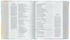 Jesus Bible | NVI | Espaço Para Anotações | Leitura Perfeita | Couro-Soft Multicor