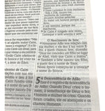 Bíblia NVI Nova Ortografia  | Capa Semi Luxo