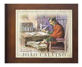 João Calvino - Simonetta Carr