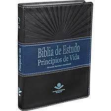 Bíblia De Estudo Princípios De Vida | RA | Letra Normal | Capa Sintética | Azul e Preto