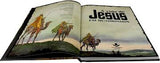 A Vida de Jesus em Quadrinhos