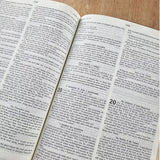 Bíblia Sagrada – Holy Bible | Português e Inglês | NVI Letra Normal | Pink