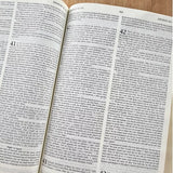 Bíblia Sagrada – Holy Bible | Português e Inglês | NVI Letra Normal | Pink