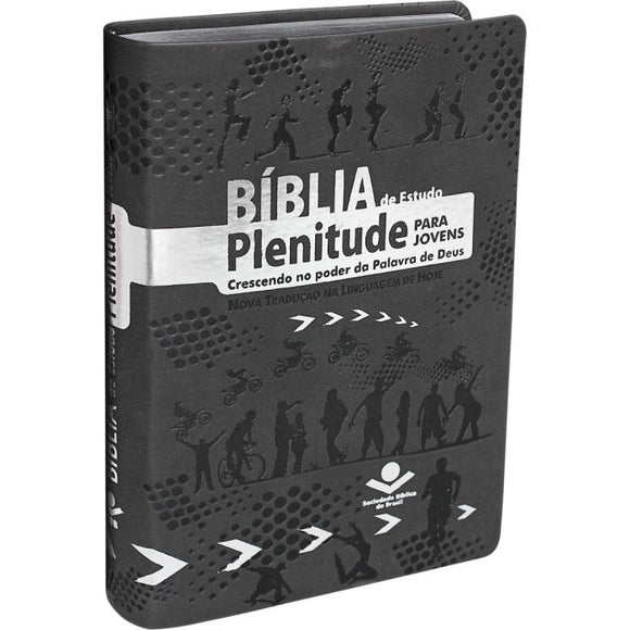 Bíblia de Estudo Plenitude para Jovens | Letra Normal | NTLH | Capa Couro Cinza Escuro