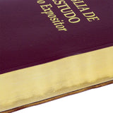 Bíblia de Estudo do Expositor | Letra Normal | NTVE | Capa Vinho